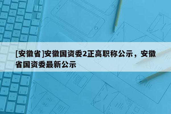 [安徽省]安徽國資委2正高職稱公示，安徽省國資委最新公示